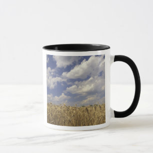 Mug États-Unis, Kentucky, Louisville. Culture de blé e