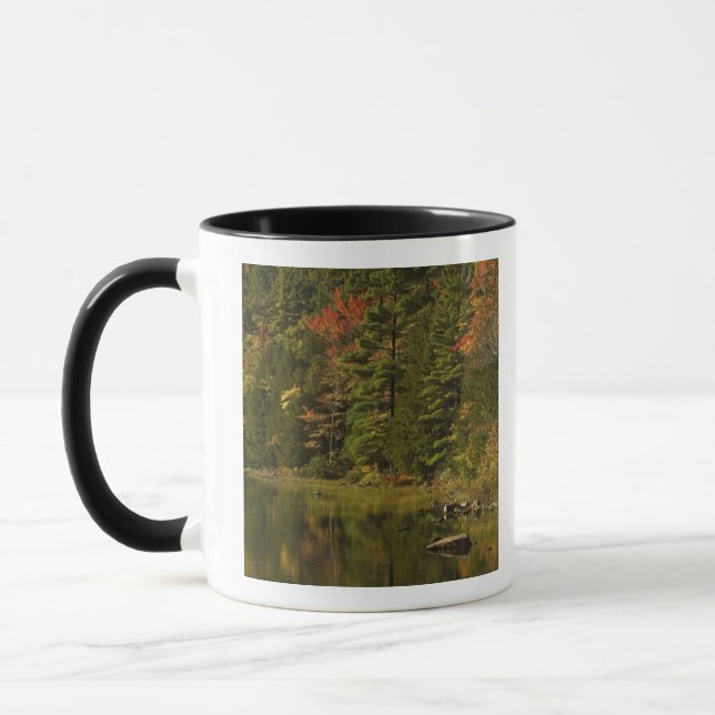 Mug États-Unis; Maine; Parc national d'Acadia. Réflexi (Gauche)