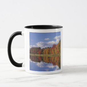 Mug États-Unis, Massachusetts, Acton. Reflet de l'auto