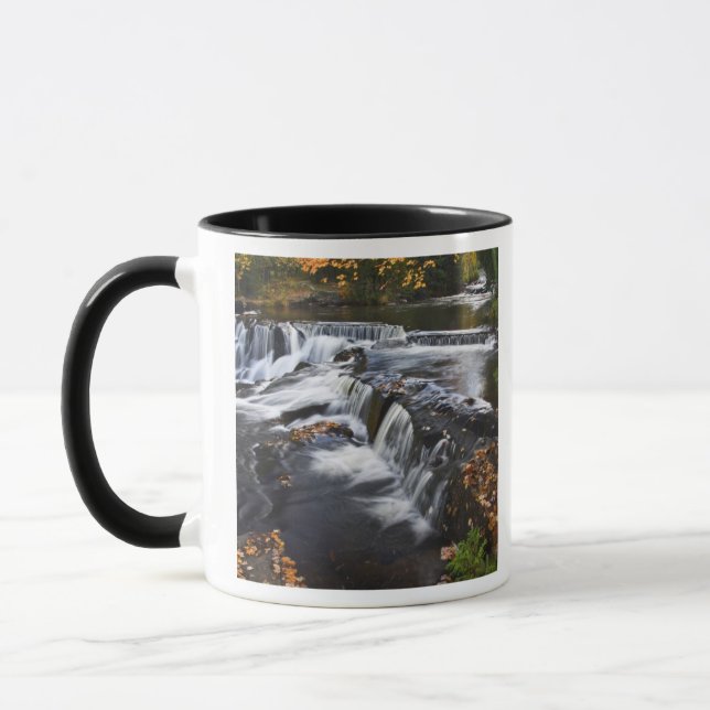 Mug États-Unis, Michigan, Upper Peninsula. Bond Falls  (Gauche)