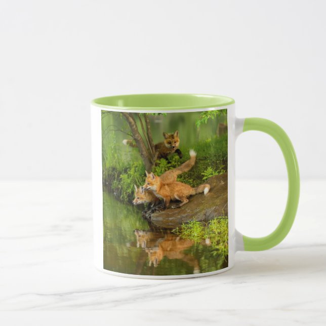 Mug États-Unis, Minnesota, Sandstone, faune du Minneso (Droite)