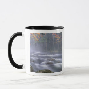 Mug États-Unis, New York, Adirondacks, Big Moose Rive