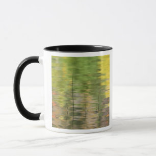 Mug États-Unis, New York, Adirondacks, reflets dans l'
