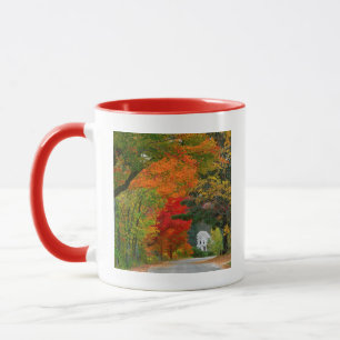 Mug États-Unis, Nouvelle-Angleterre, New Hampshire, An