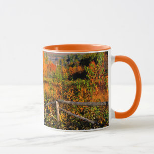 Mug États-Unis, Nouvelle-Angleterre, New Hampshire, C