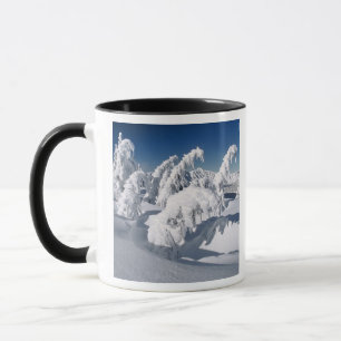 Mug États-Unis, Oregon, Crater Lake NP. Les arbres plo