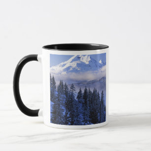 Mug États-Unis, Oregon, forêt nationale de Deschutes, 