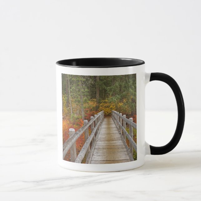 Mug États-Unis, Oregon, Forêt nationale de Willamette. (Droite)