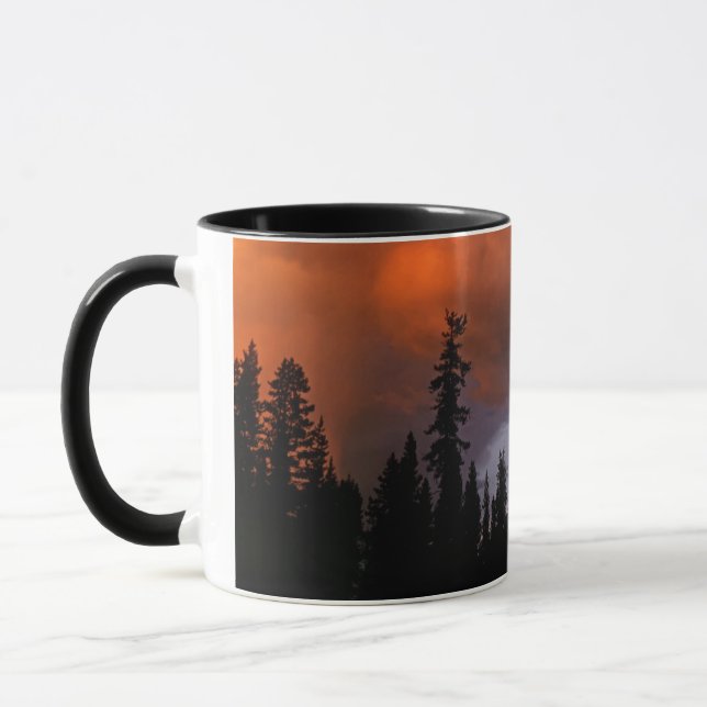 Mug États-Unis, Oregon, Forêt nationale d'Umpqua. Temp (Gauche)