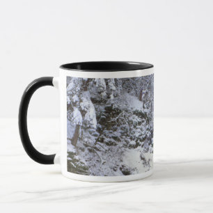Mug États-Unis, Oregon, Gorges du fleuve Columbia
