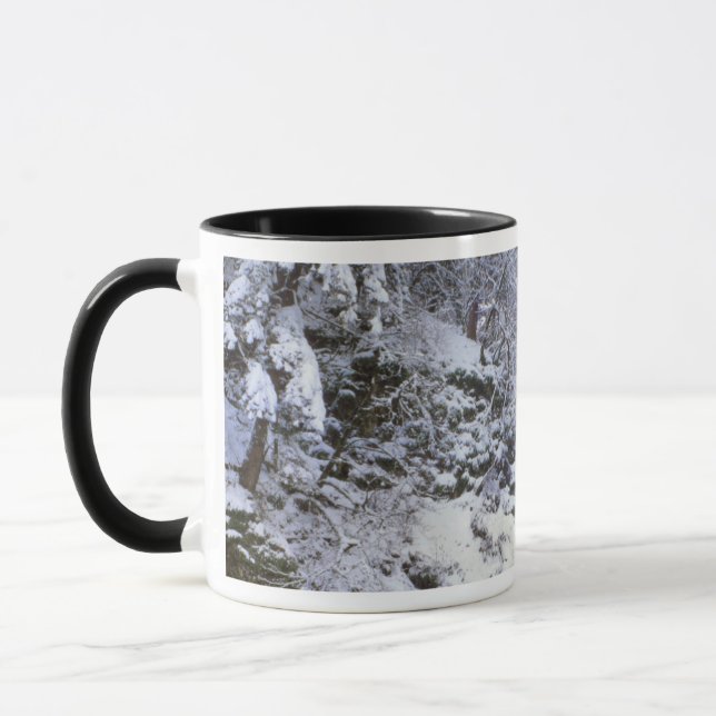 Mug États-Unis, Oregon, Gorges du fleuve Columbia (Gauche)