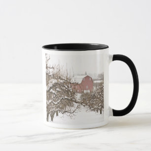 Mug États-Unis, Oregon, Hood River. Pomme couverte de