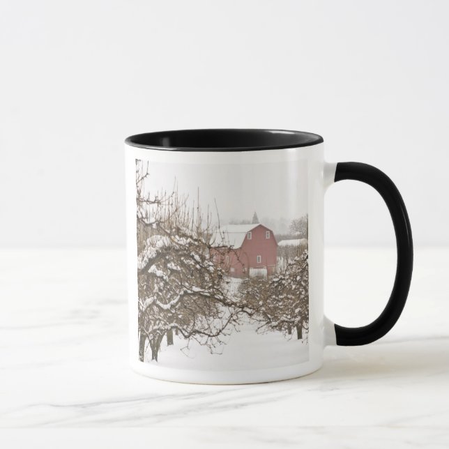 Mug États-Unis, Oregon, Hood River. Pomme couverte de  (Droite)
