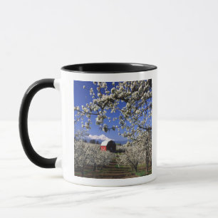Mug États-Unis, Oregon, Hood River Valley, verger de p
