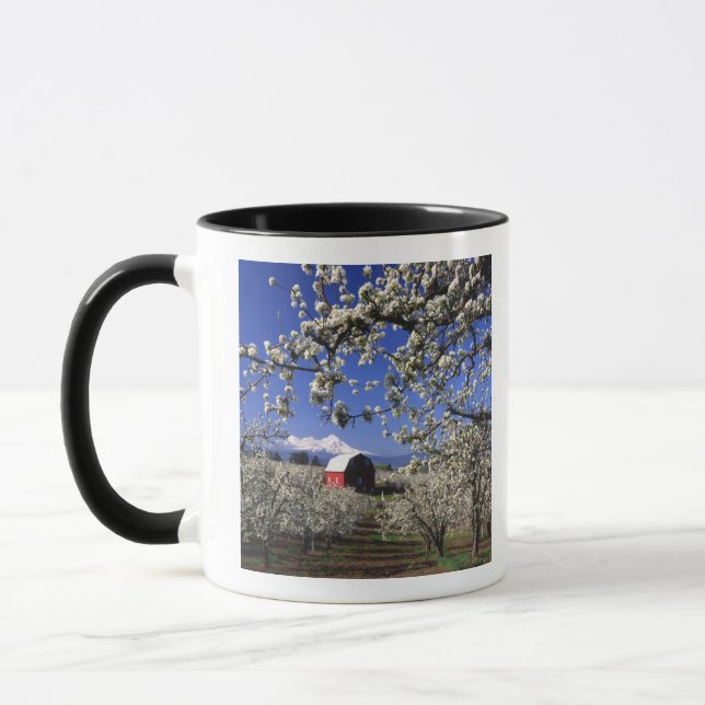 Mug États-Unis, Oregon, Hood River Valley, verger de p (Gauche)