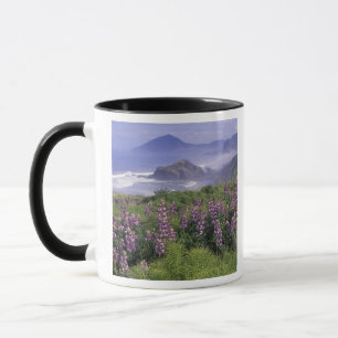 Mug États-Unis, Oregon, Nesika Beach. Lupin et Oregon