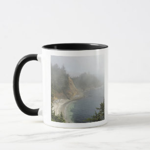 Mug États-Unis, Oregon, Ocean View, Cape Arago, Bandon