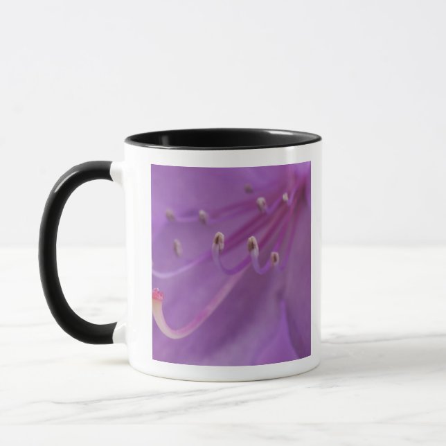 Mug États-Unis, Oregon, Portland. Gros plan d'une (Gauche)