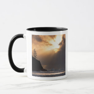 Mug États-Unis, Oregon, près du parc d'État Oswald Wes