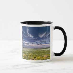 Mug États-Unis, Oregon, Steens Mountain. Le printemps