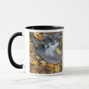 Mug États-Unis, Oregon, Sweet Creek. Feuilles d'érable