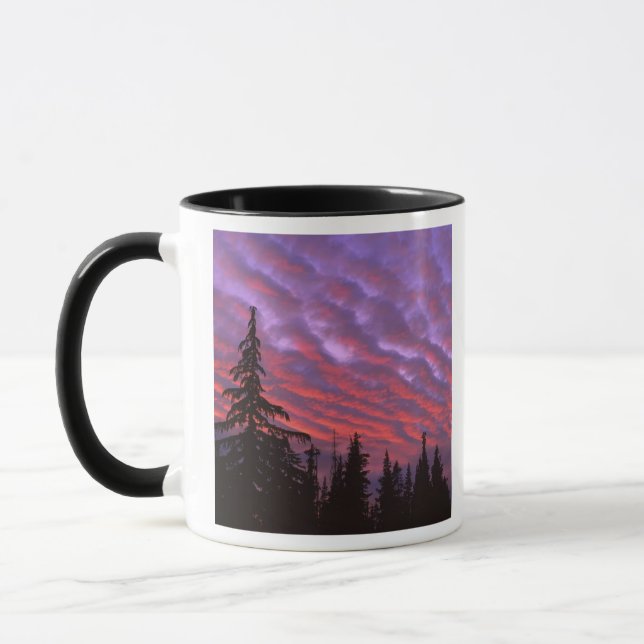 Mug États-Unis, Oregon, Three Sisters Wilderness, Vivi (Gauche)