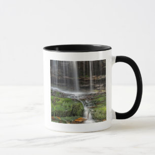 Mug États-Unis, Pennsylvanie, Benton. Cascade délicate