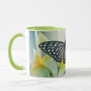 Mug États-Unis, Pennsylvanie. Papillon swallowtail