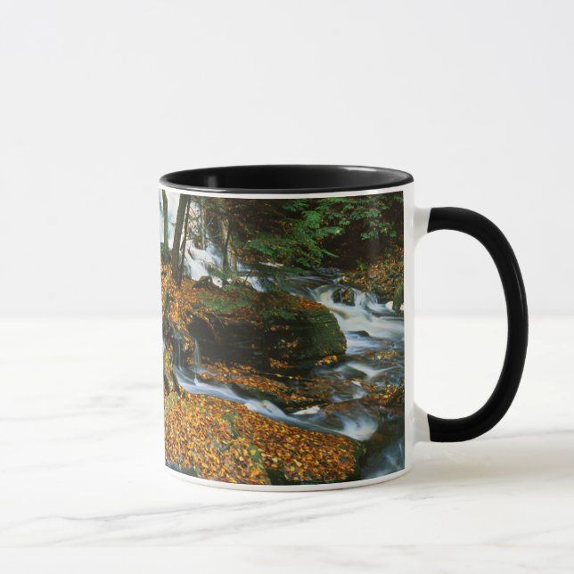 Mug États-Unis, Pennsylvanie, Parc d'État de Ricketts  (Droite)