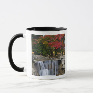 Mug États-Unis, Redmond, Washington. Couleur d'automne