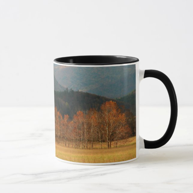 Mug États-Unis, Tennessee. Cades Cove In Smoky Mountai (Droite)