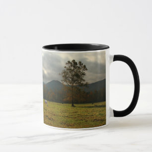 Mug États-Unis, Tennessee. Chevaux dans la vallée de C