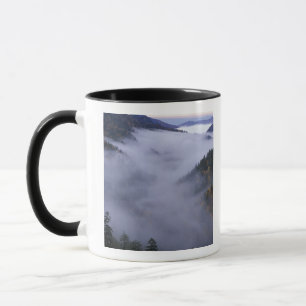 Mug États-Unis, Tennessee. Great Smokey Mountains Nati