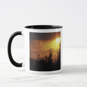 Mug États-Unis, Tennessee, Great Smoky Mountains NP.2