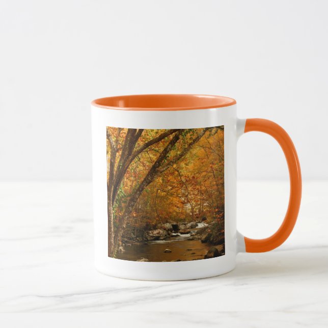 Mug États-Unis, Tennessee. Ruisseau Rushing Mountain 3 (Droite)