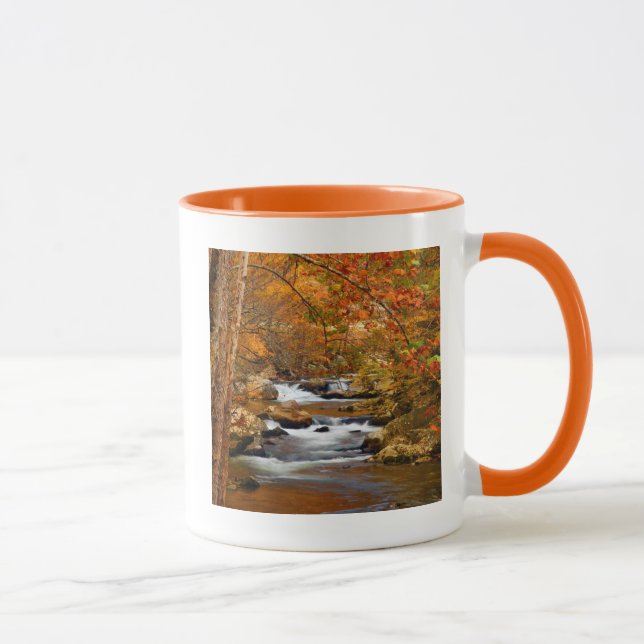 Mug États-Unis, Tennessee. Rushing Mountain Creek (Droite)