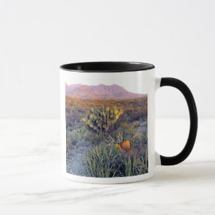 Mug États-Unis, Texas, Big Bend NP. Un crépuscule rose