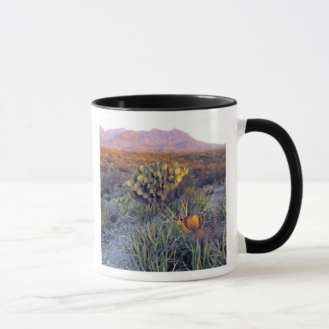 Mug États-Unis, Texas, Big Bend NP. Un crépuscule rose (Droite)