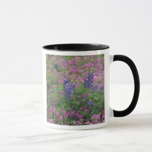 Mug États-Unis, Texas Hill Country. Bluebonnets au mi