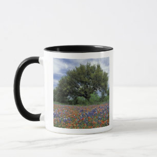 Mug États-Unis, Texas, Marble Falls Paintbrush et