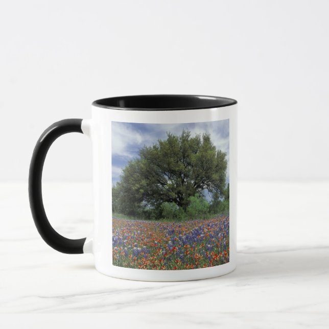 Mug États-Unis, Texas, Marble Falls Pinceau et (Gauche)