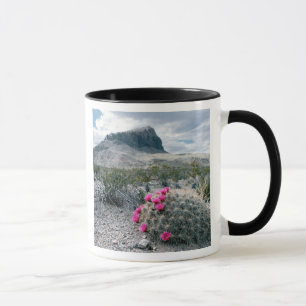 Mug États-Unis, Texas, Parc national de Big Bend. Flor