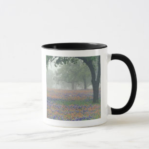 Mug États-Unis, Texas. Pinceau de Texas et bleuets