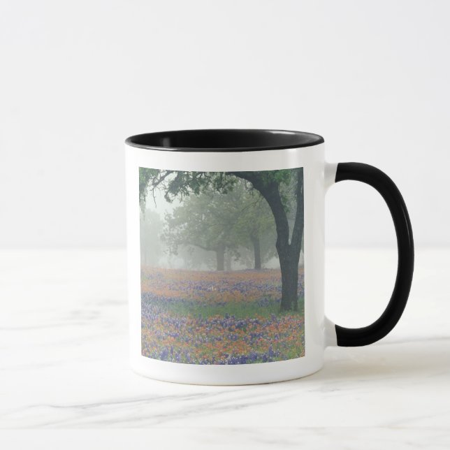 Mug États-Unis, Texas. Pinceau de Texas et bleuets (Droite)