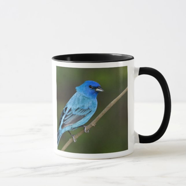 Mug États-Unis, Texas, South Padre Island (Droite)