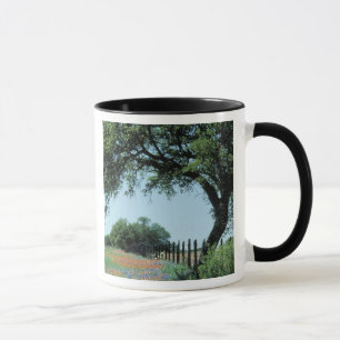 Mug États-Unis, Texas, Texas Hill Country Paintbrush e