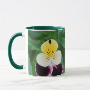 Mug États-Unis, Utah, Cache Valley, Johnny Jump Up