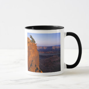 Mug États-Unis, Utah, Dead Horse Point SP. Lumière tar