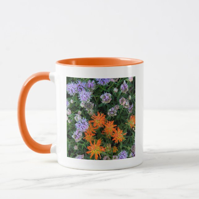 Mug États-Unis, Utah, Forêt nationale d'Uinta-Wasatch- (Gauche)