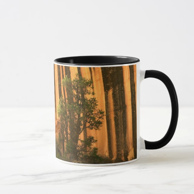 Mug États-Unis, Utah, Parc national de Capitol Reef (Droite)